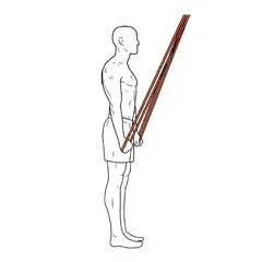ideal_Tricep_Extensions ideal_Tricep_Extensions